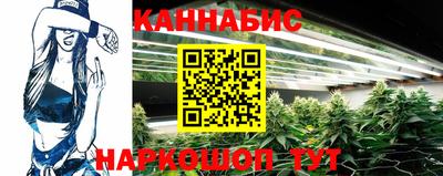 стафф Новодвинск