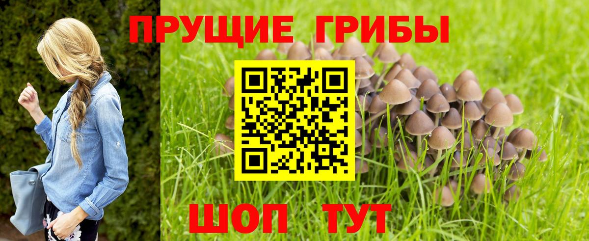 Псилоцибиновые грибы MAGIC MUSHROOMS  Вход с VPN  Светлоград 