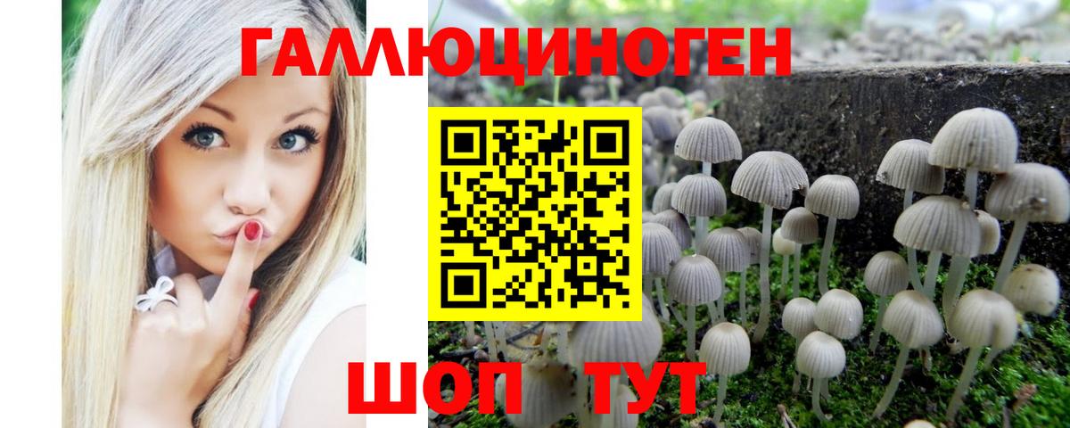 Псилоцибиновые грибы Cubensis Светлоград